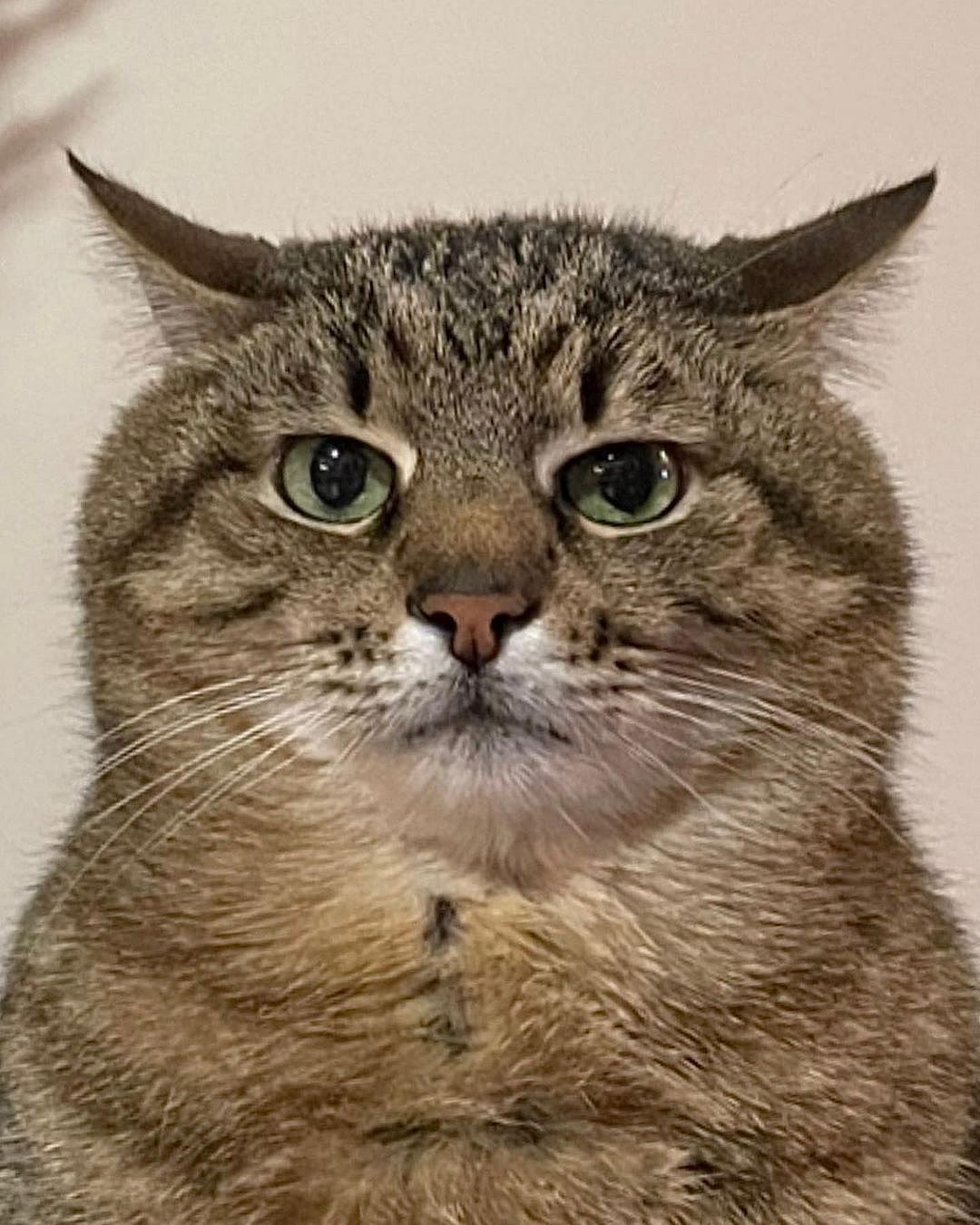 undefinedon NFTsky on NFTsky